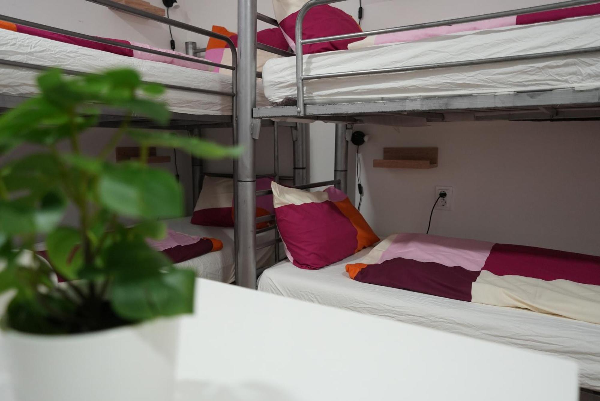 Center Hostel And Guest House Budapest Eksteriør bilde